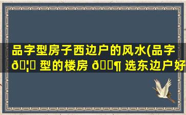 品字型房子西边户的风水(品字 🦊 型的楼房 🐶 选东边户好还是西边户好)